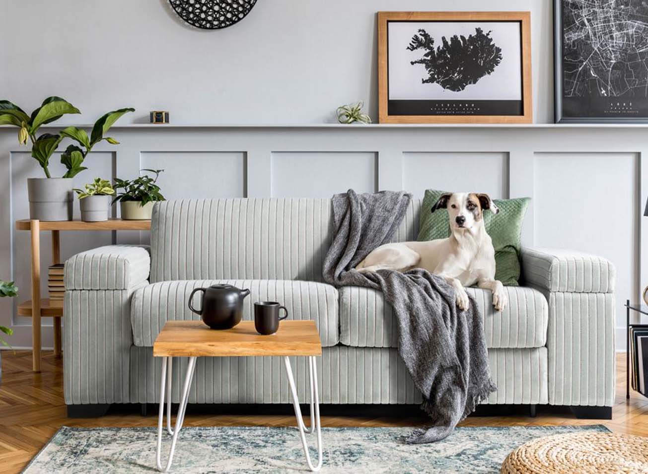 Elevate Your Living Space: Stylish Furniture Picks for a Modern Home
