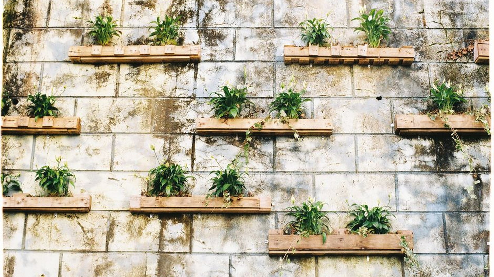 floating shelf potted herbs wall planter box climb