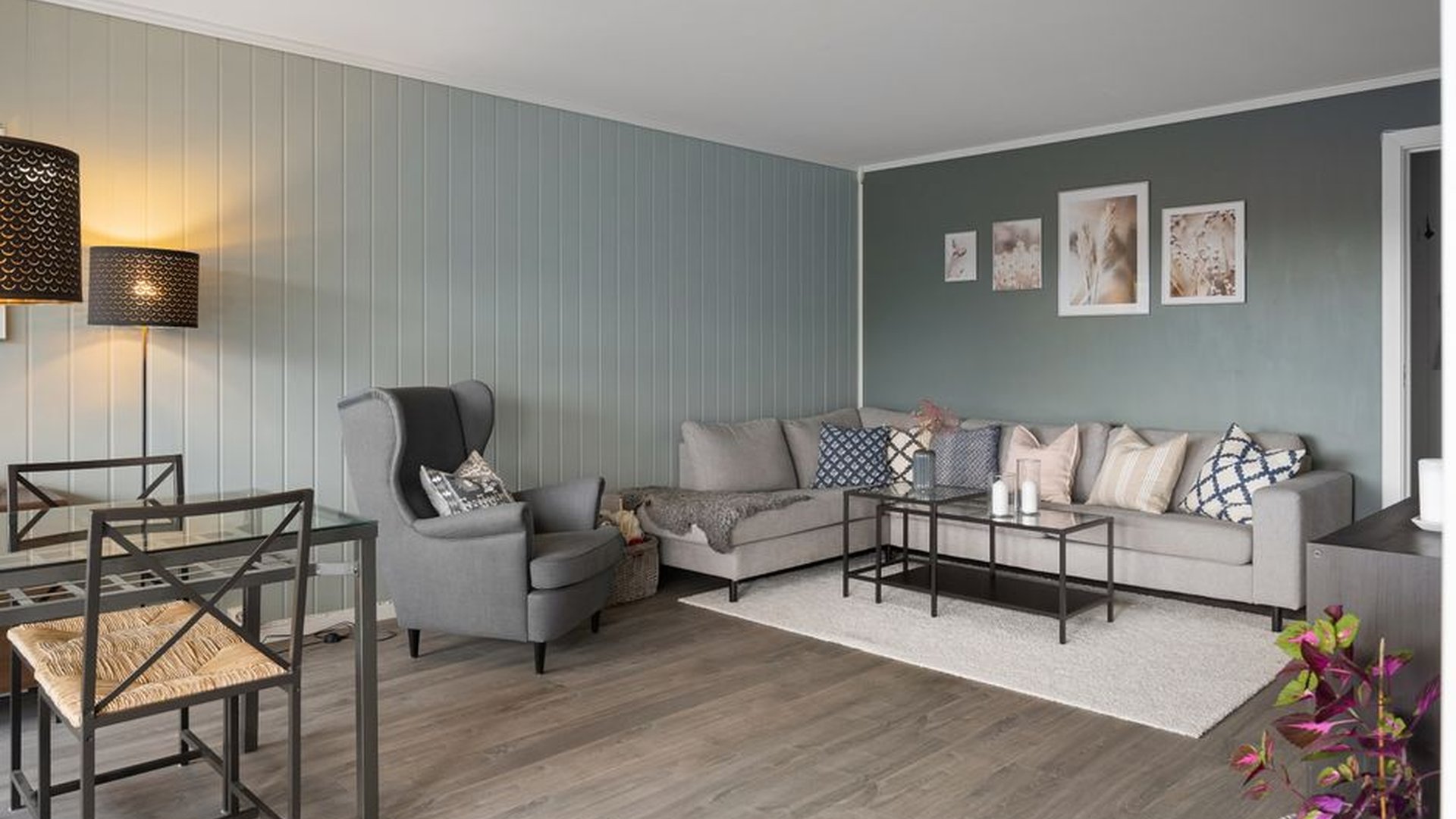 soft white walls warm gray furniture muted green p