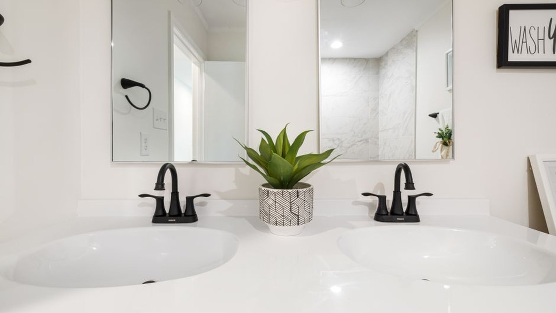 snake plant in ceramic pot on bathroom vanity wood